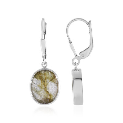 Orecchini in argento con Labradorite