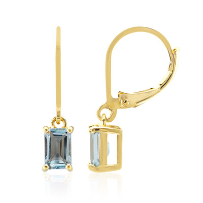 Orecchini in argento con Topazio Blu Cielo
