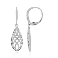 Orecchini in argento