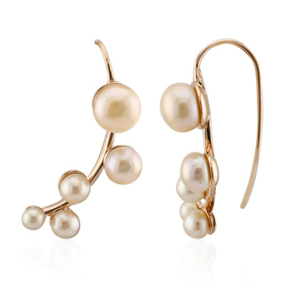 Orecchini in argento con Perla d'Acqua Dolce Pesca (TPC)
