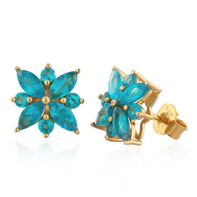 Orecchini in argento con Apatite Blu Neon (de Melo)