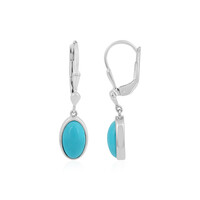 Orecchini in argento con Turchese Sleeping Beauty