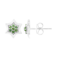 Orecchini in argento con Tsavorite