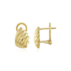 Orecchini in argento