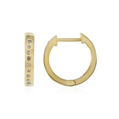 Orecchini in argento con Diamante Champagne I3