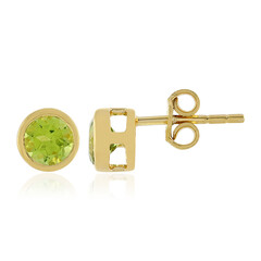 Orecchini in argento con Peridoto