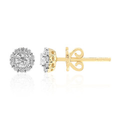 Orecchini in oro con Diamante VVS1 (G)
