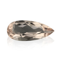 Gemma con Morganite Pesca