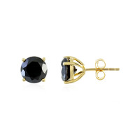 Orecchini in argento con Spinello Nero