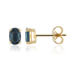 Orecchini in argento con Cianite Blu Foglia di Tè