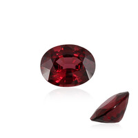 Gemma con Zircone Rosa
