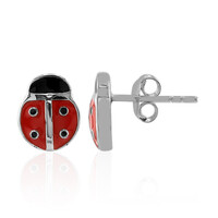Orecchini in argento