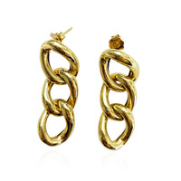 Orecchini in argento