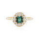 Anello in oro con Indicolite (Adela Gold)