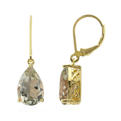 Orecchini in argento con Ametista Verde