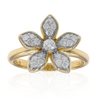 Anello in oro con Diamante SI1 (G)