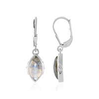 Orecchini in argento con Labradorite