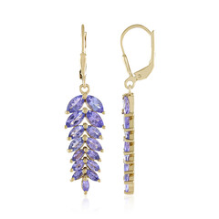 Orecchini in argento con Tanzanite