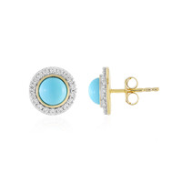Orecchini in argento con Turchese Sleeping Beauty