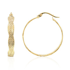 Orecchini in argento
