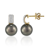 Orecchini in oro con Perla Tahitiana (TPC)
