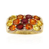 Anello in argento con Zaffiro Fancy