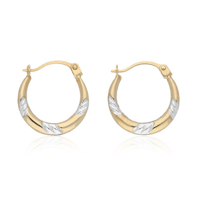 Orecchini in oro