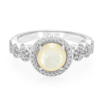 Anello in argento con Conchiglia Abalone