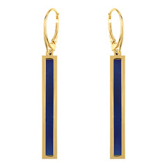 Orecchini in argento