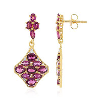 Orecchini in argento con Rodolite