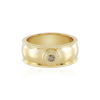 Anello in argento con Diamante Cioccolato I2