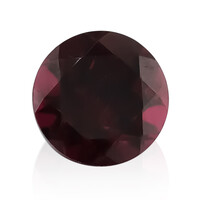Rodolite