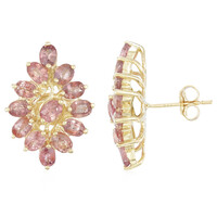Orecchini in oro con Zaffiro Padparadscha (non riscaldato) (AMAYANI)