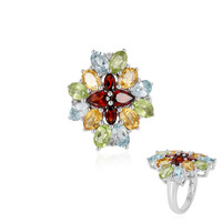 Anello in argento con Granato d’India