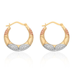 Orecchini in oro