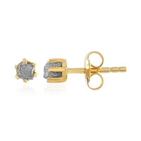 Orecchini in argento con Diamante Color Argento
