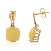 Orecchini in oro con Ambra Baltica