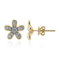 Orecchini in oro con Diamante SI1 (G)