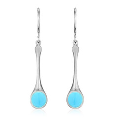 Orecchini in argento con Turchese Campo Frio