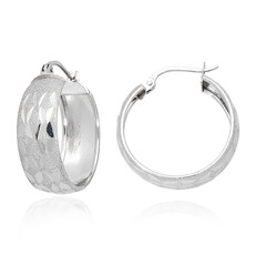 Orecchini in argento