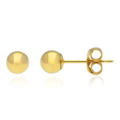 Orecchini in oro