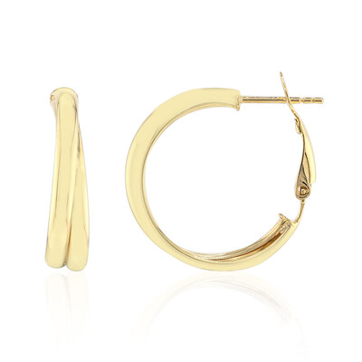 Orecchini in argento