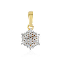 Ciondolo in argento con Diamante I2 (I)