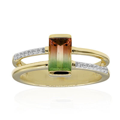Anello in oro con Tormalina Bicolore