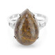 Anello in argento con Quarzo Dinosauro