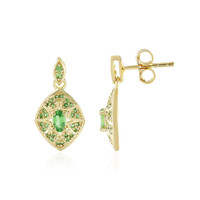Orecchini in argento con Tsavorite