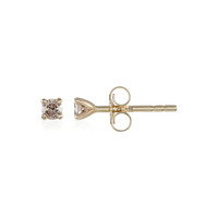 Orecchini in oro con Diamante Cioccolato I1