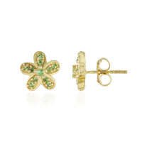 Orecchini in argento con Tsavorite