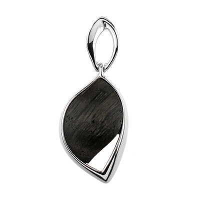Ciondolo in argento con Quercia Nera (dagen)