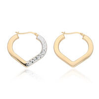 Orecchini in argento